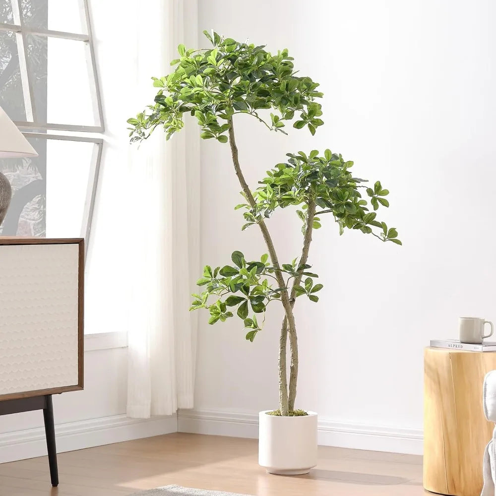 5ft Tall Artificial Black Olive Tree