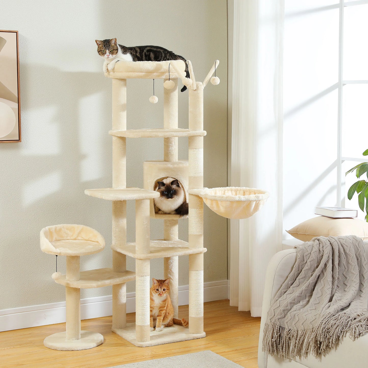 Multi-Level Cat Tree for Large Cats