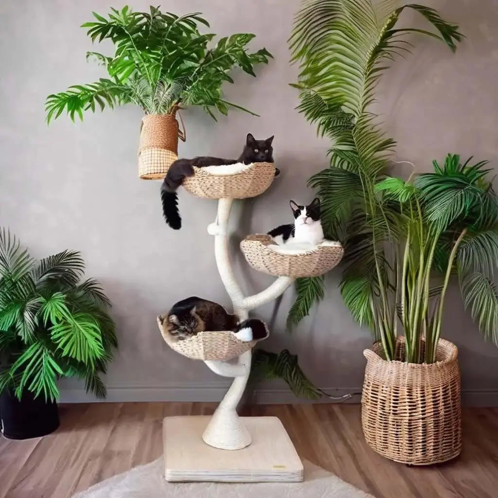 Natural Wood Climbing Cat Tree