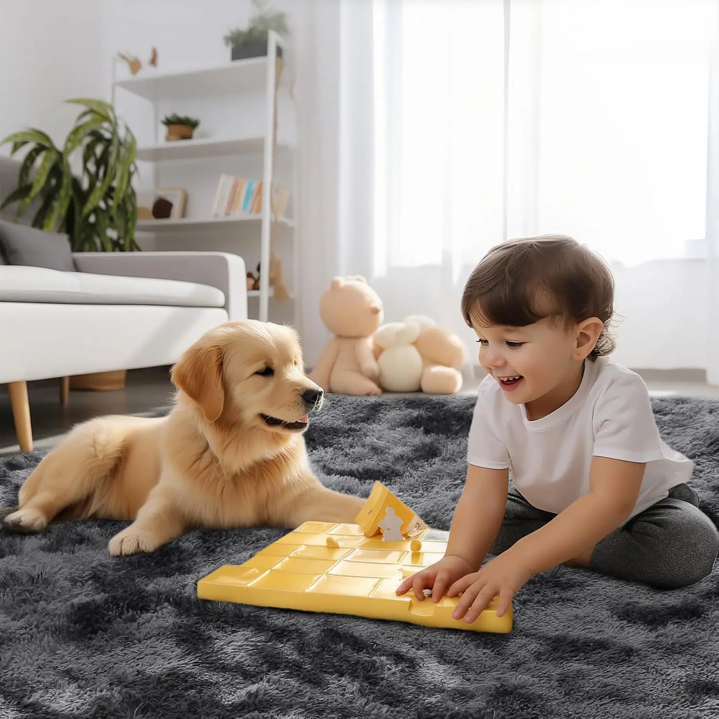 Soft Plush Area Rugs