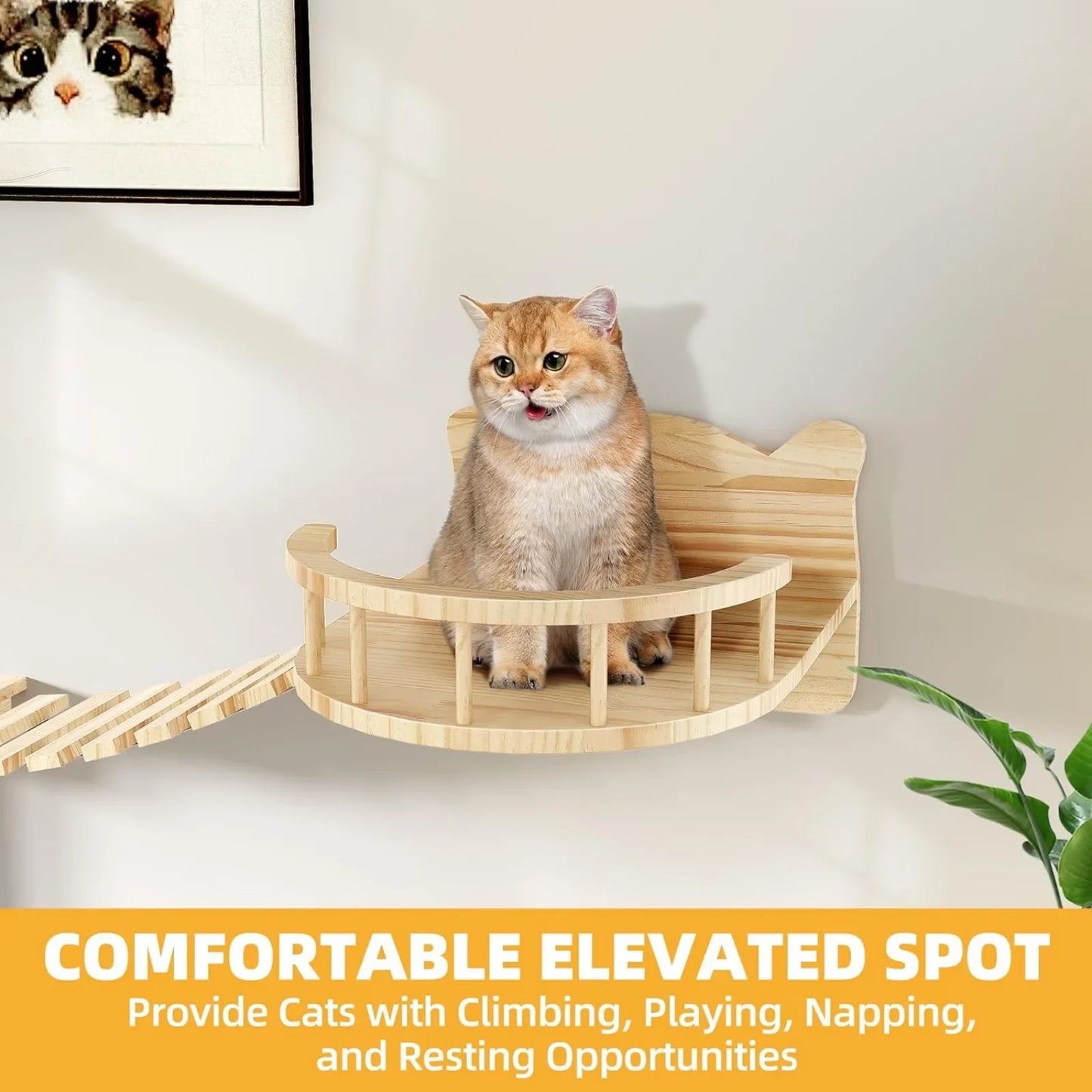 Wooden Wall Mounted Cat Furniture