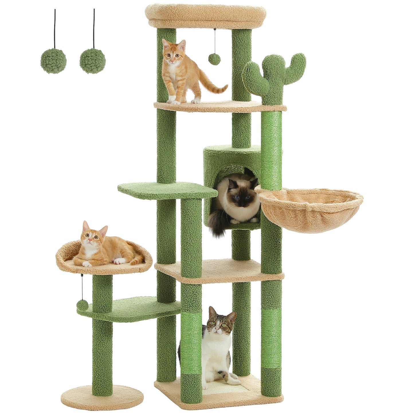 Multi-Level Cat Tree for Large Cats