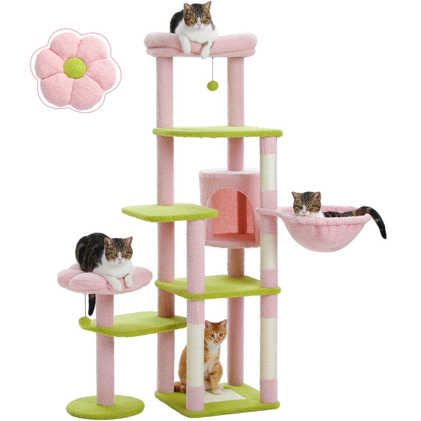 Multi-Level Cat Tree for Large Cats