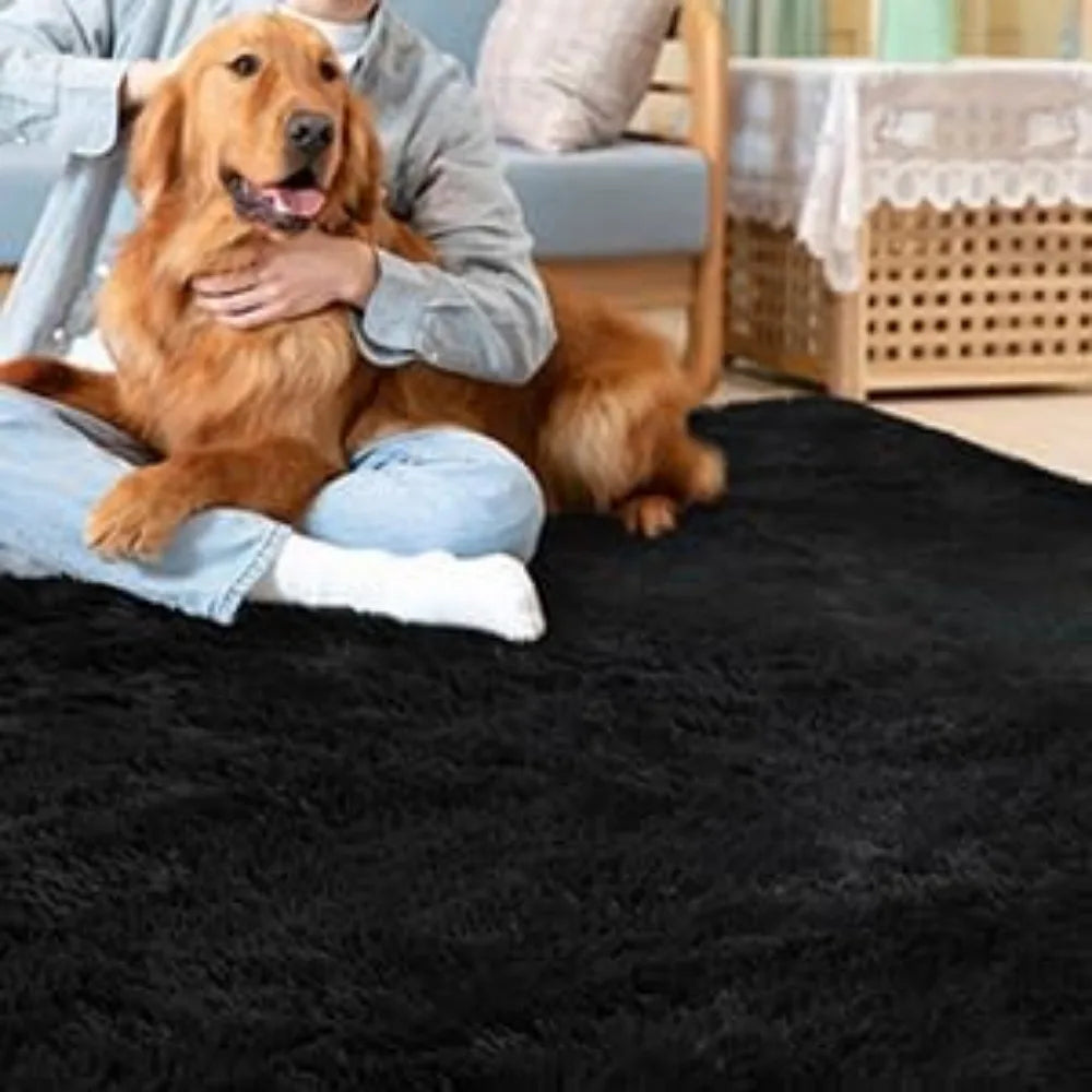 10x13 Fluffy Area Rug