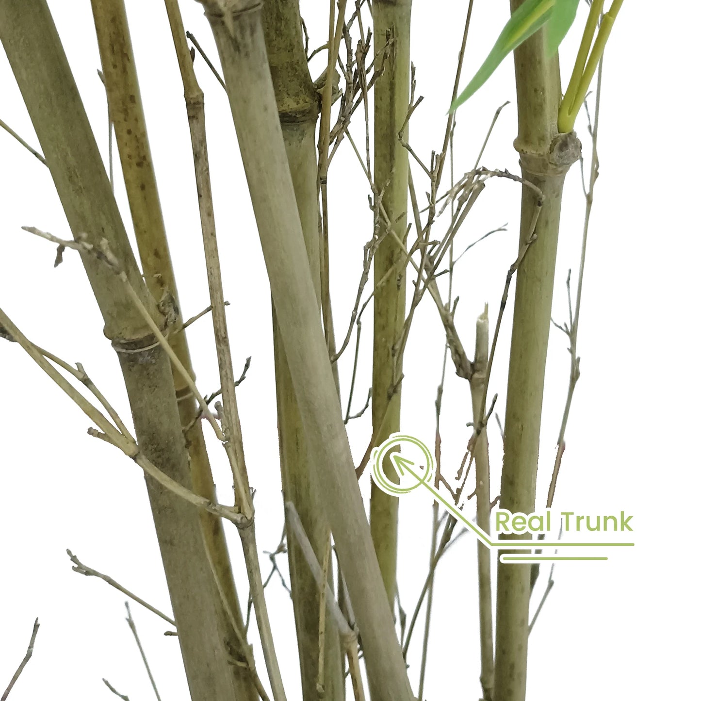 Artificial Bamboo Tree with Real Trunk and Lifelike Leaves