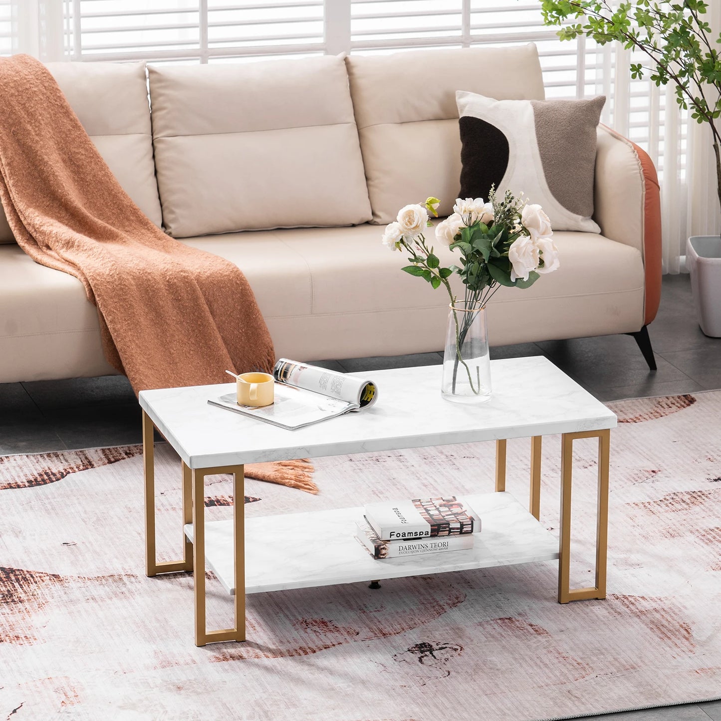Simple Double-layer Coffee Table
