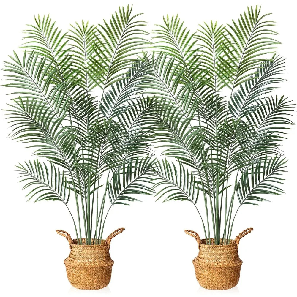 Tropical Palm Plant and Handmade Seagrass Basket