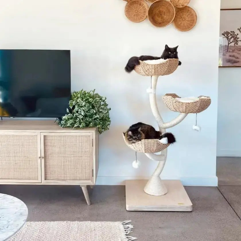 Natural Wood Climbing Cat Tree