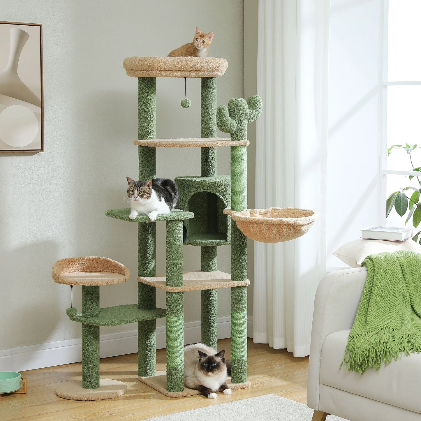 Multi-Level Cat Tree for Large Cats