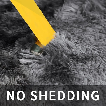 Soft Plush Area Rugs